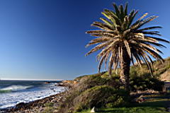 clifton IMG_2076.JPG